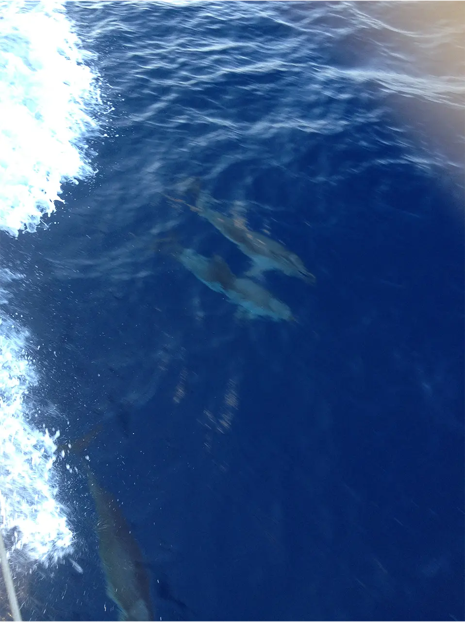 99knots Corfu Yach Rental Gallery 38