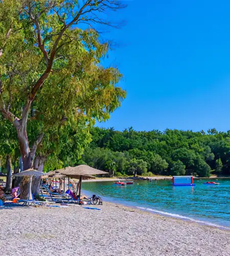 Dassia and Ipsos 99knots 2