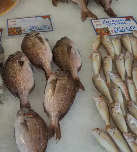 Gastronomy in Corfu 99Knots 2