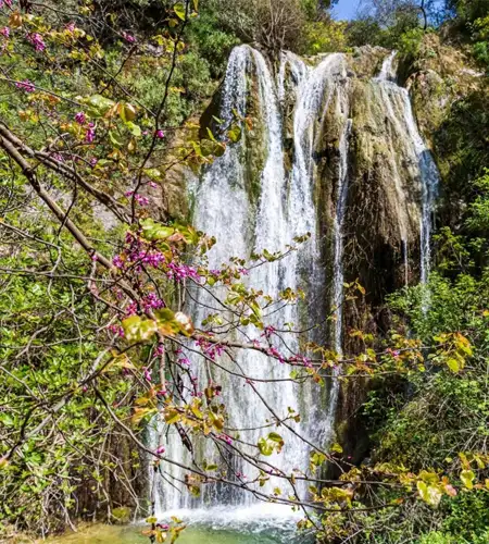 The Natural Masterpieces of Corfu 99Knots 3