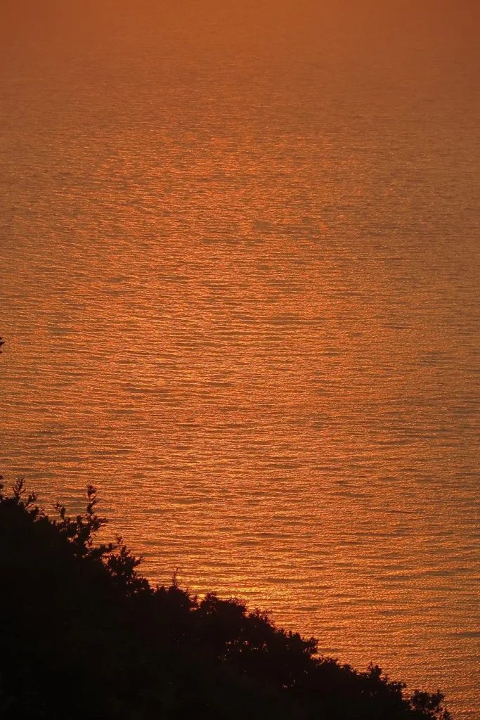 half day sunset cruises by 99Knots 1