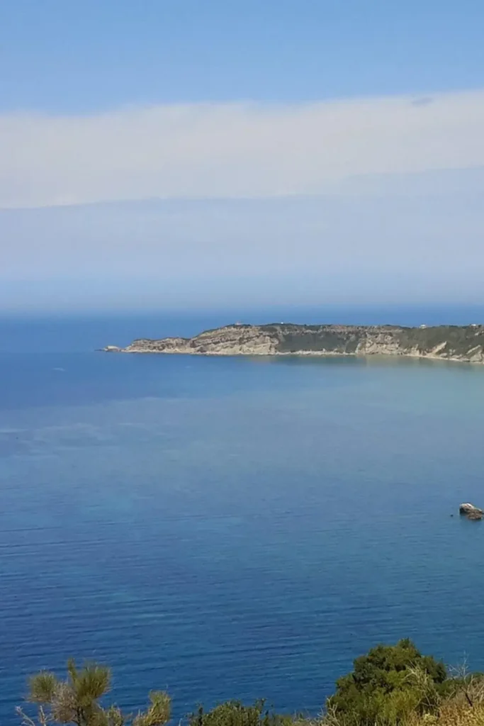 half day sunset cruises by 99Knots 2