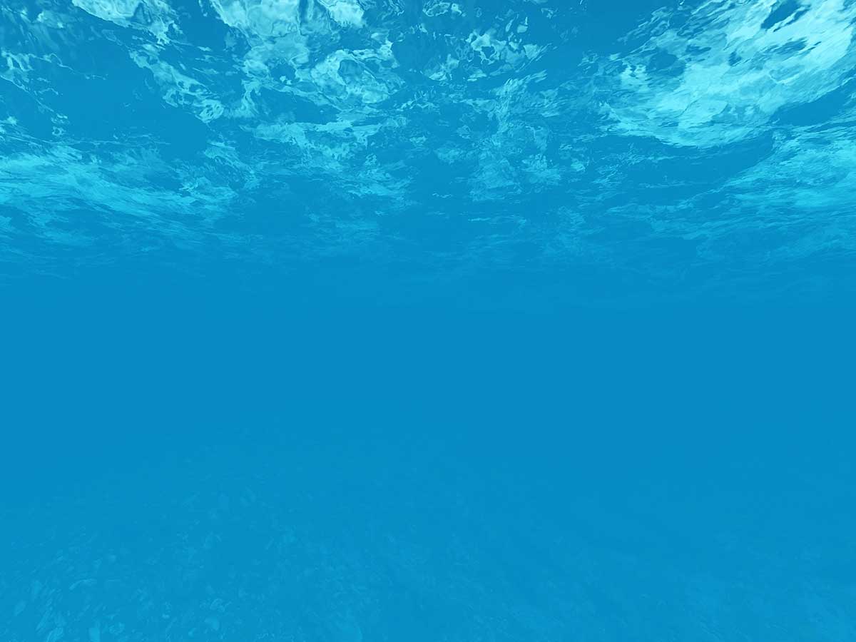 The Magical Underwater World of the Ionian Sea in Corfu