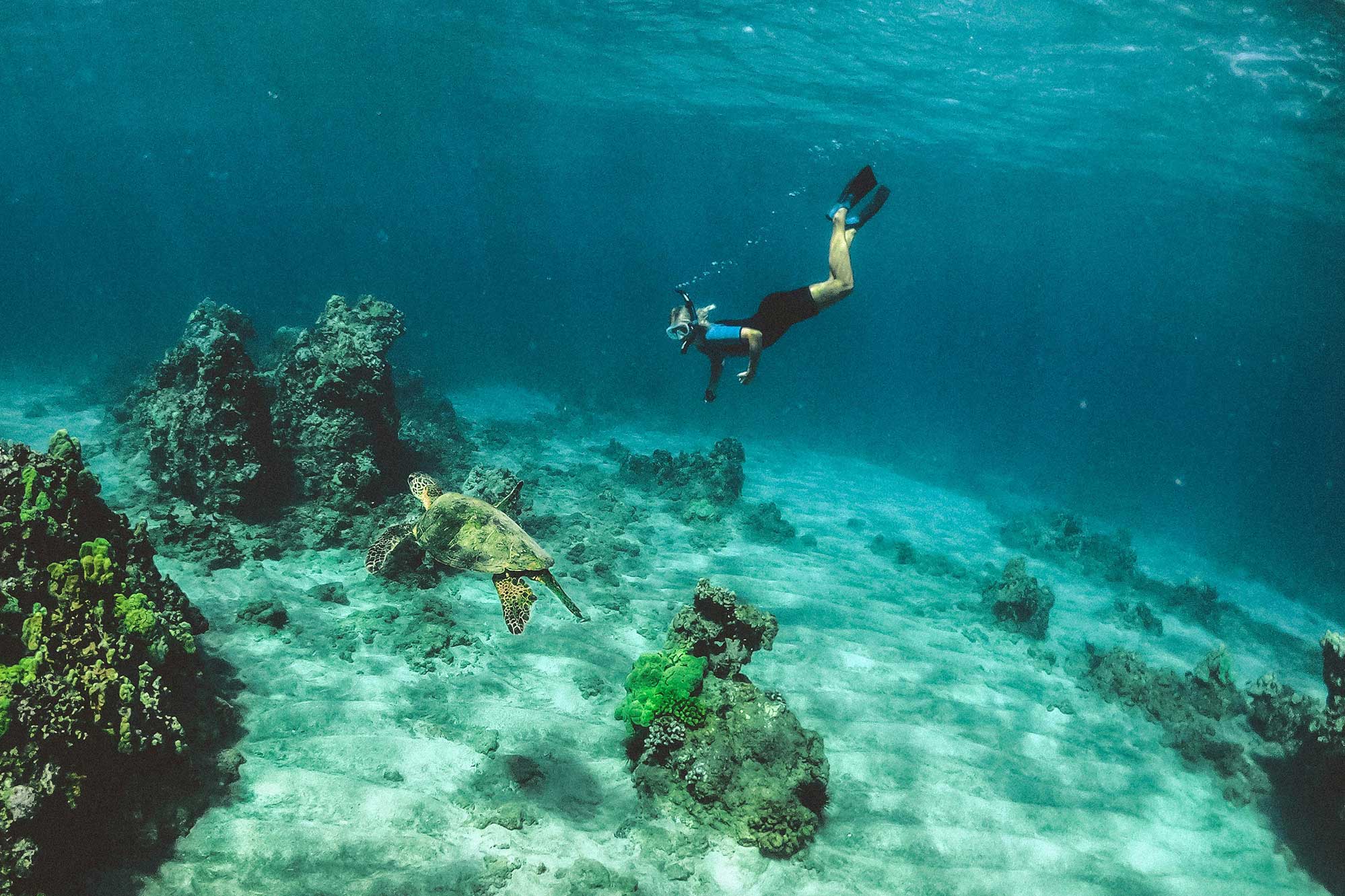 Snorkeling in Corfu: Best spots, marine life & expert tips 1 snorkeling in corfu best spots marine life expert tips